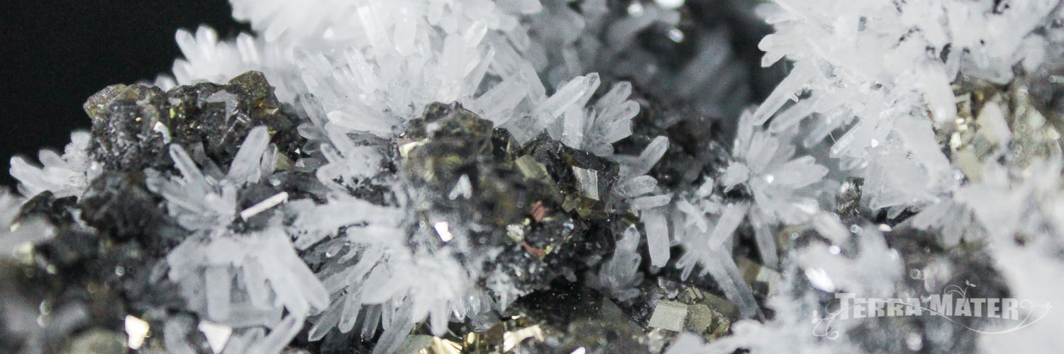 Quartz, Pyrite et Galène