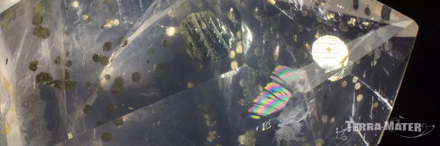 Quartz à inclusions de Pyrite