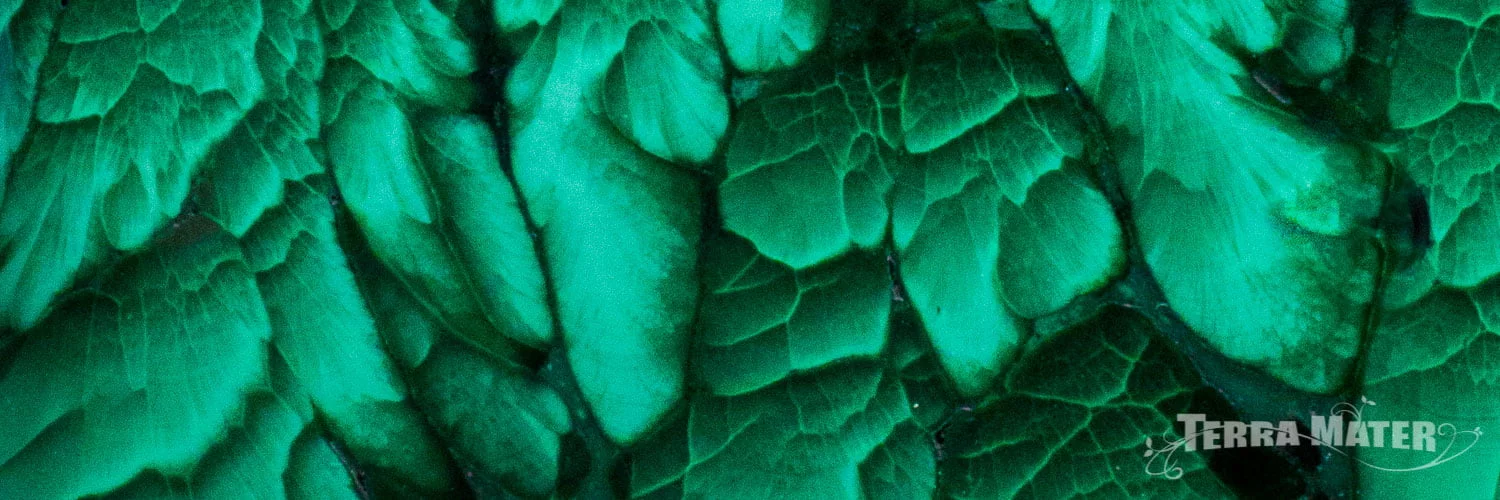 Malachite détail pierre polie