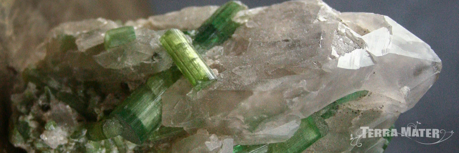 Quartz à inclusions de tourmaline verte