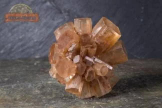 Fleur d'Aragonite