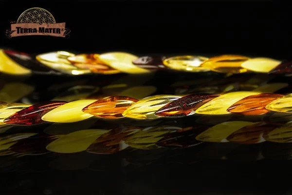 Collier d'ambre en épi – Image 3