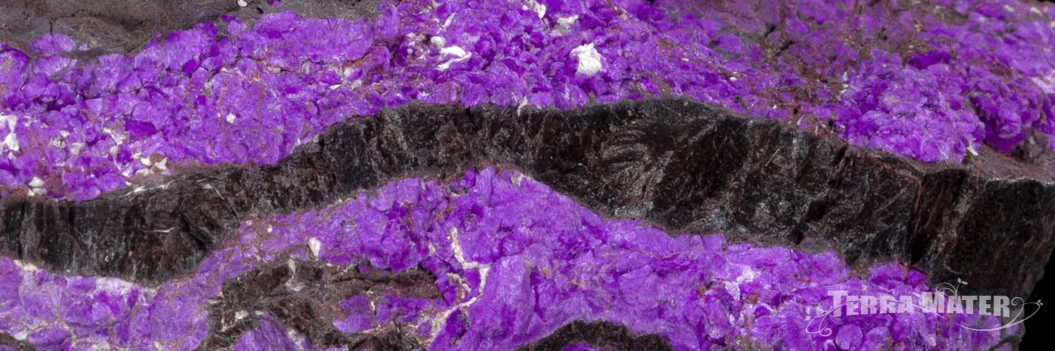 Sugilite brute et polie, bijoux, pendentifs