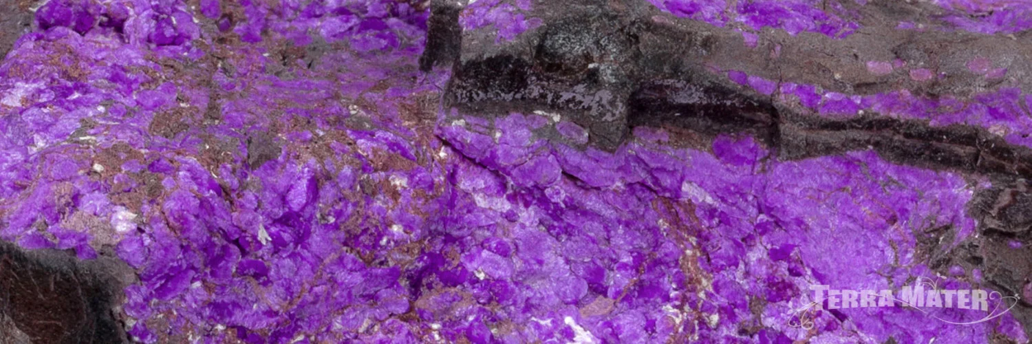 Sugilite brute et polie, bijoux, pendentifs