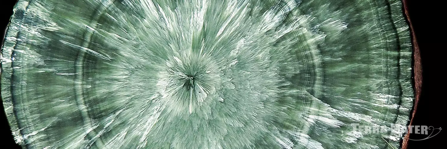 Séraphinite (Clinochlore) - Russie - Tranche polie