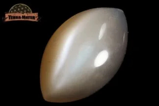 Cabochon de Pierre de lune