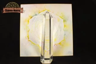Magnifique pointe de cristal de roche surfacée, longue et fine, de 11,5 cm