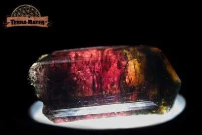Tourmaline bicolore de Madagascar