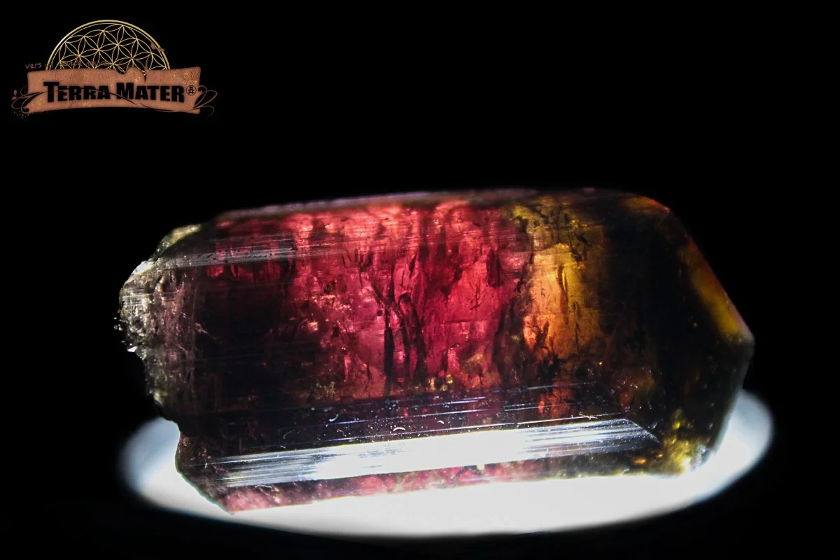 Tourmaline bicolore de Madagascar