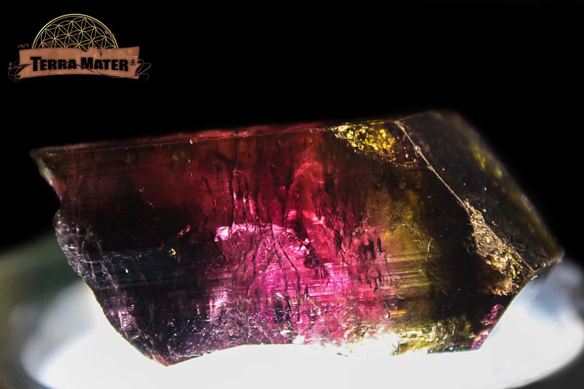 Tourmaline bicolore 30 g - 149 ct – Image 5