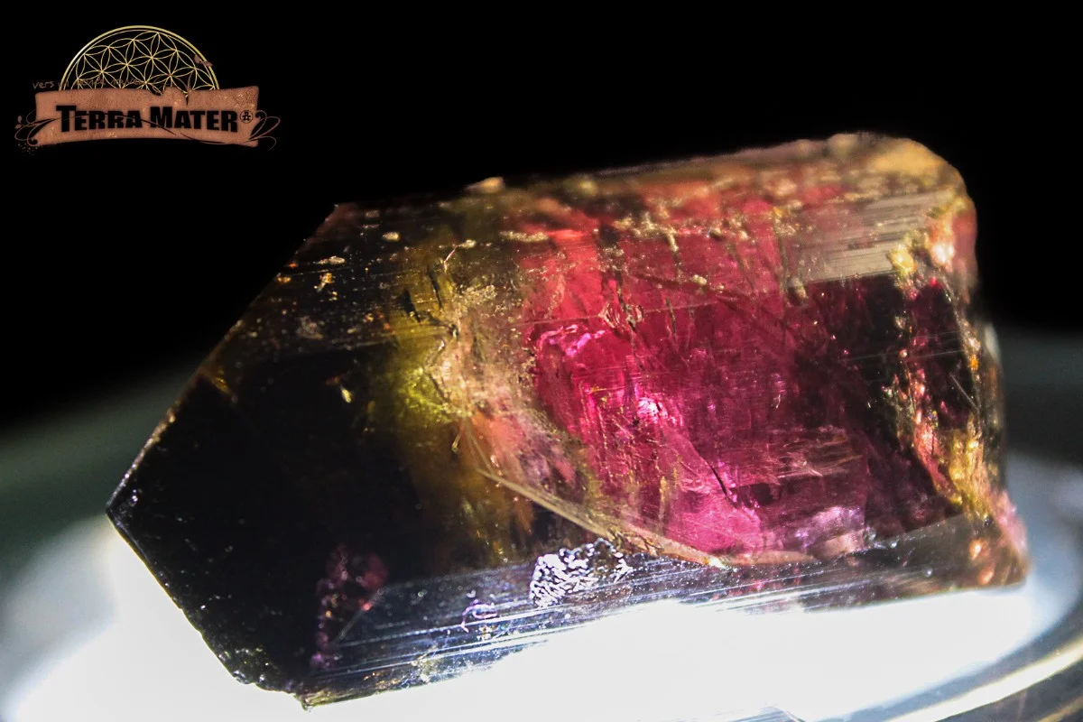 Tourmaline bicolore 30 g - 149 ct – Image 8