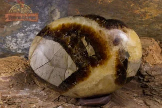 Galet de septaria de Madagascar