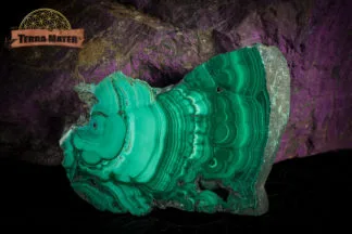 Malachite du Congo - Tranche naturelle polie