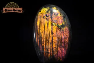 Forme libre de labradorite de Madagascar - Pièce unique - Port gratuit